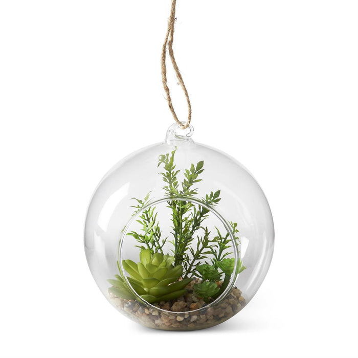 6.5-inch round glass succulent premade terrarium display