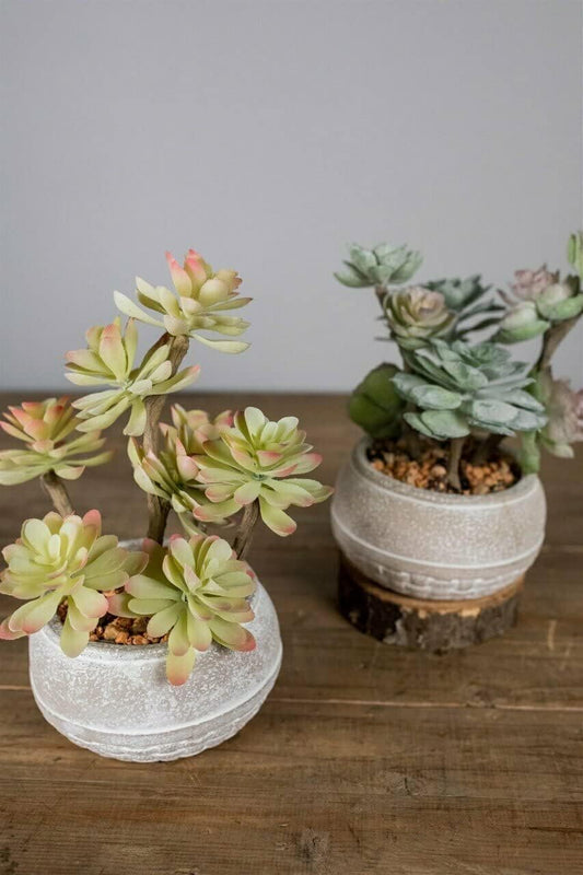 Real Touch Succulent in Cement Bowl 9" Set of 2