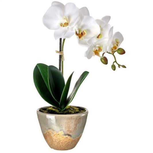 Real Touch Phalaenopsis Orchid in Aged Terracotta 14"