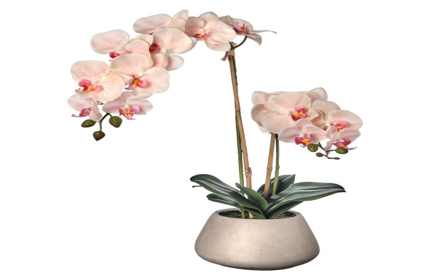 Real Touch Phalaenopsis Orchid in Cement Pot 24"
