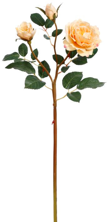 19.95" Rose Spray with Sprigs – product image 11