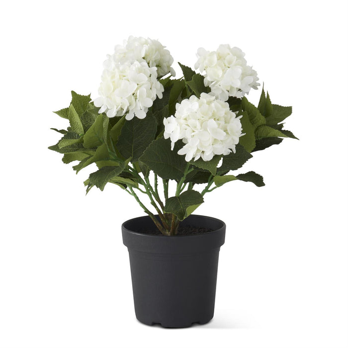 18.75" 5 Bloom White Potted Hydrangea w/Faux Dirt