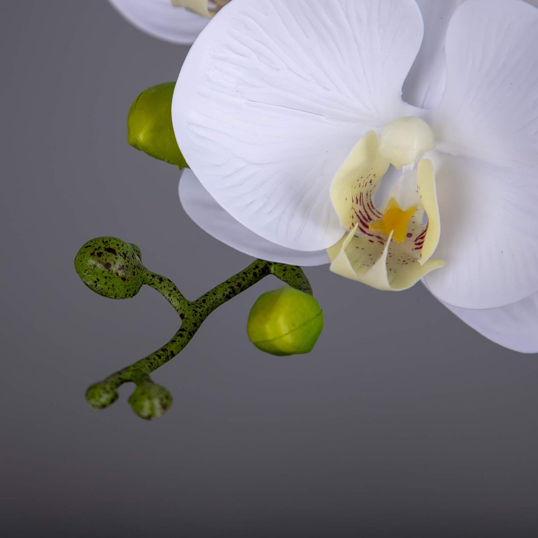 Real Touch white Phalaenopsis orchid stems – additional view