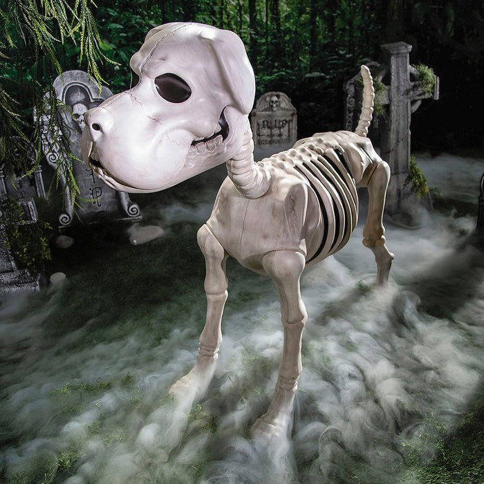 4-foot standing dog skeleton Halloween decoration