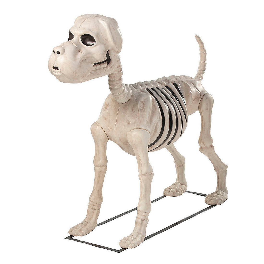 life-size dog skeleton Halloween prop for haunted displays