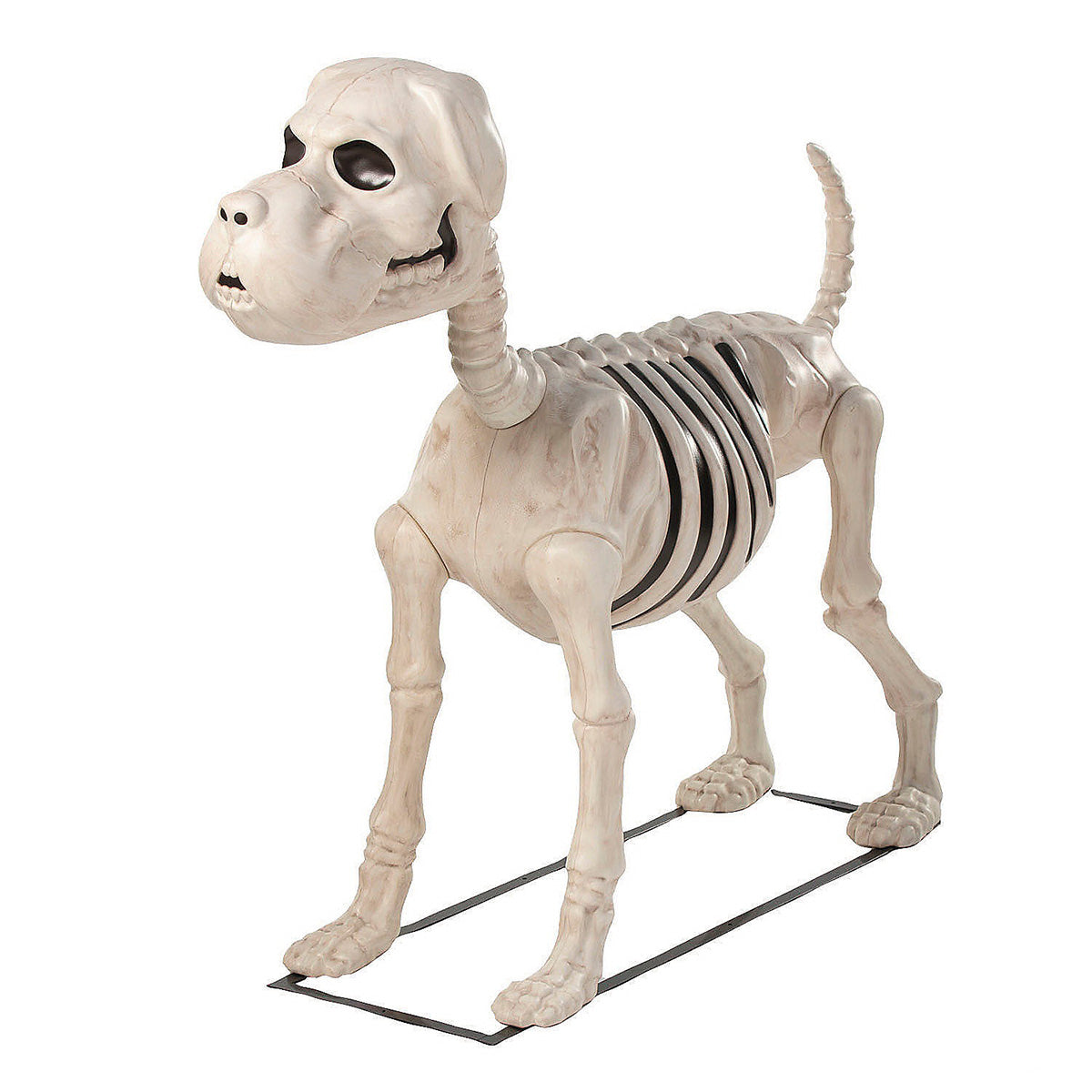 4 Ft. Standing Dog Skeleton Halloween Decoration | Life-Size Plastic Skeleton Prop for Indoor & Outdoor Haunted Displays