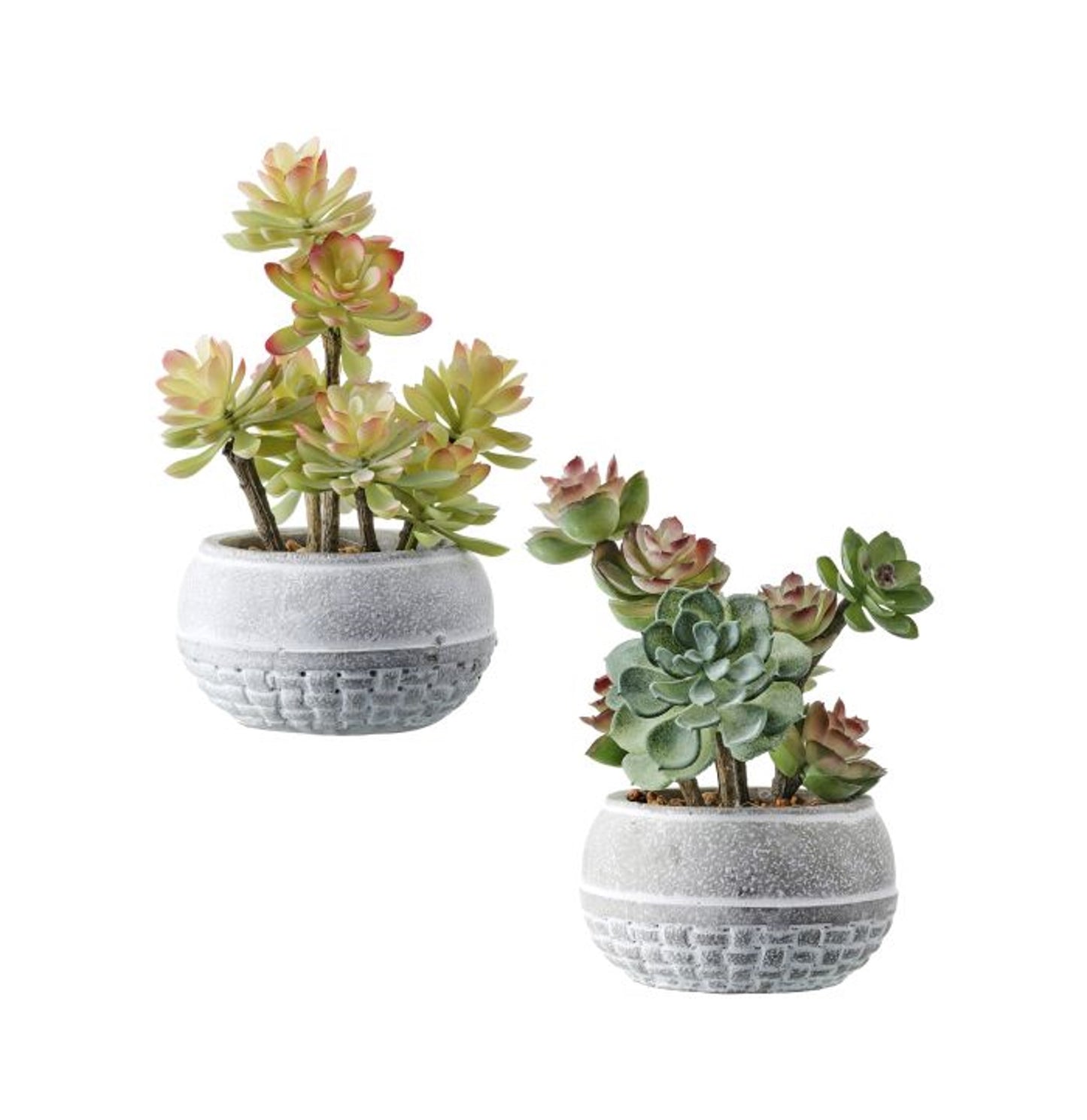 Real Touch Succulent in Cement Bowl 9" Set of 2