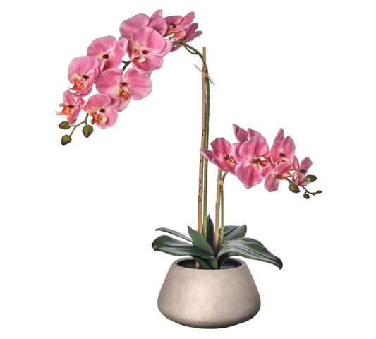 Real Touch Phalaenopsis Orchid in Cement Pot 24"